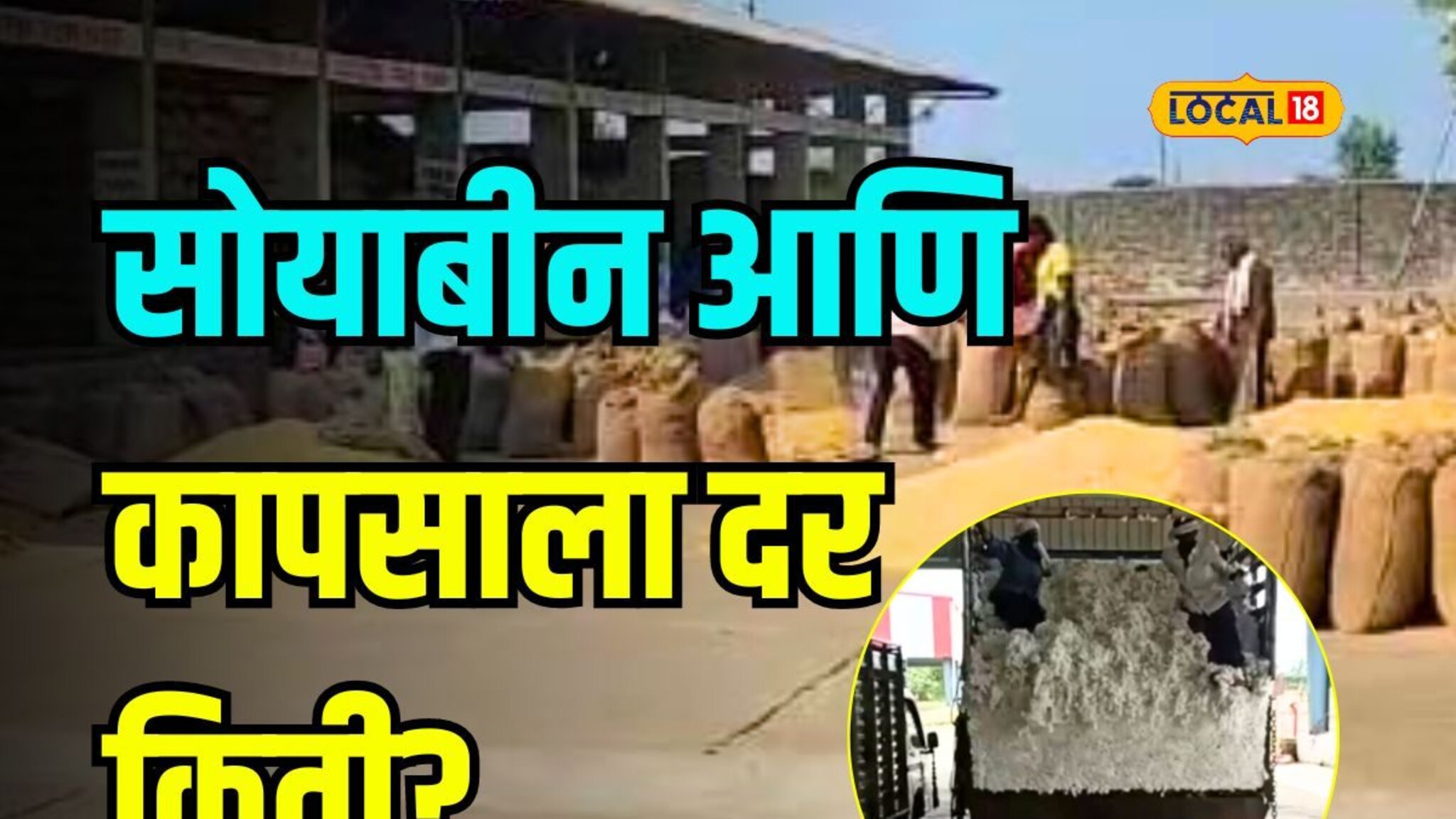 विदर्भातील सर्वात मोठ्या बाजार समितीत सोयाबीन आणि कापसाला किती मिळतोय दर?