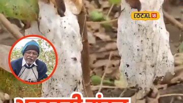 अवकाळीनं