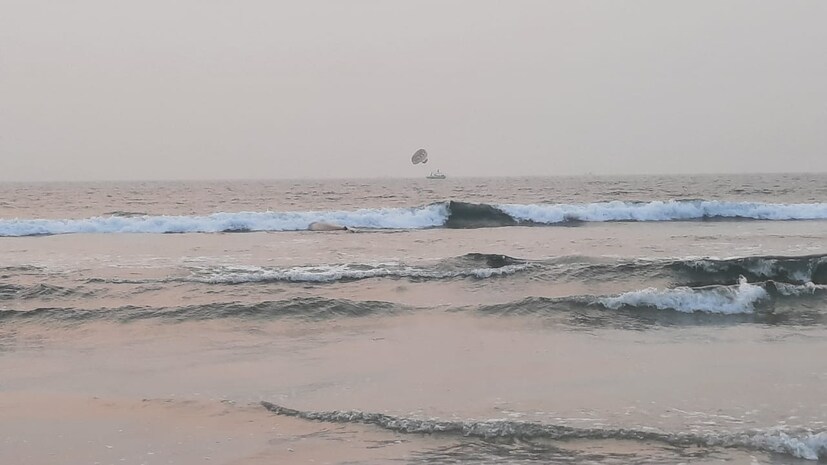  रत्नागिरी जिल्ह्यातील गणपतीपुळे समुद्रात <a href="https://news18marathi.com/photogallery/kokan/whale-fish-on-ganpatipule-beach-rescue-operation-continue-see-photo-mhsy-1078306.html">व्हेल माशाचं पिल्लू</a> वाहून आलं होतं. वनविभागाने 30 तासांच्या अथक प्रयत्नानंतर व्हेल माशाच्या पिल्लाला जीवनदान दिलं आणि पुन्हा समुद्रात सोडलं.