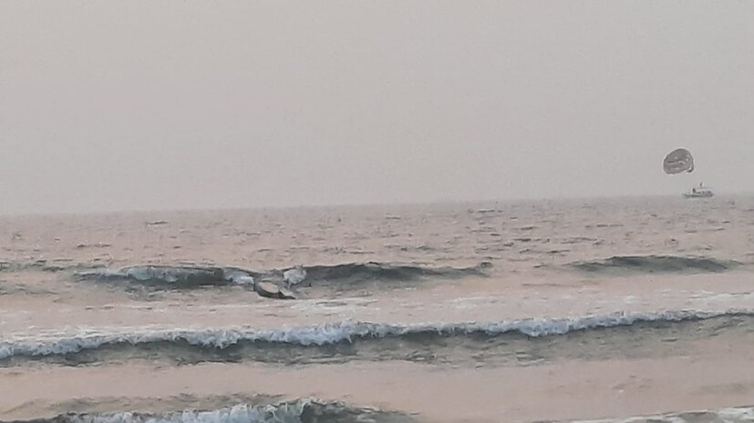 समुद्रात भरतीला सुरुवात झाली होती. यावेळी रेस्क्यू टीमनं खोल समुद्रात माशाला नेलं आणि त्याला समुद्रात सोडलं. टीमनं माशाला नेण्यासाठी jsw च्या डग ची मदत घेतली .