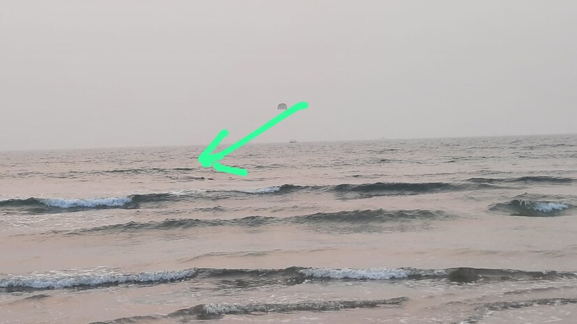 वीस फुटांहून अधिक लांब आणि पाच ते सहा टन इतका वजनाचं या व्हेल माश्याचं पिल्लू होतं. ओहोटी असल्यामुळे पिल्लाच्या रेस्क्यू ऑपरेशनमध्ये अडथळे येत होते, पण प्रशासनाने व्हेलच्या पिल्लाला समुद्रात सोडलं होतं. आता पुन्हा एकदा पिल्लू दिसून आल्यामुळे प्रशासन परत कामाला लागणार आहे. 