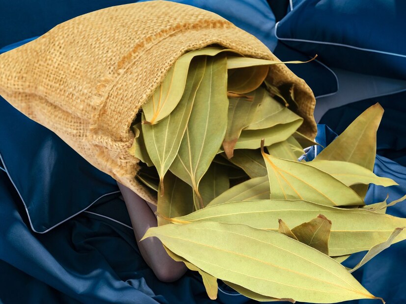 तमालपत्राचे पाणी पिण्याचे फायदे - दोन ते तीन तमालपत्र पाण्यात उकळवून ते गाळून प्यायल्यास वजन कमी होण्यास मदत होते आणि सर्दी आणि फ्लूपासून बचाव होतो. शरीरातील चयापचय वाढते, वजन कमी होते. तसेच कोलेस्ट्रॉल आणि रक्तदाब नियंत्रणात राहतो.