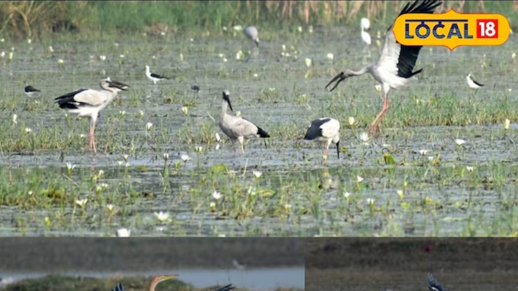नव्या वर्षात निसर्गरम्य दृश्य पाहत घ्या देवदर्शन; हे आहे बेस्ट डेस्टिनेशन!