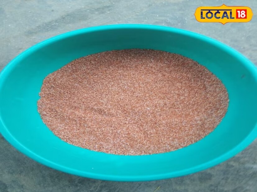 प्राचीन काळात ग्रामीण भागातील वृद्ध व्यक्ती नाचणीची भाकरी खायचे. शिवाय आयुर्वेदातदेखील नाचणीच्या पौष्टिक तत्त्वांचा उल्लेख आढळतो. इतकंच नाही, तर अनेक आयुर्वेदिक औषधांमध्येसुद्धा नाचणीचा वापर केला जातो.