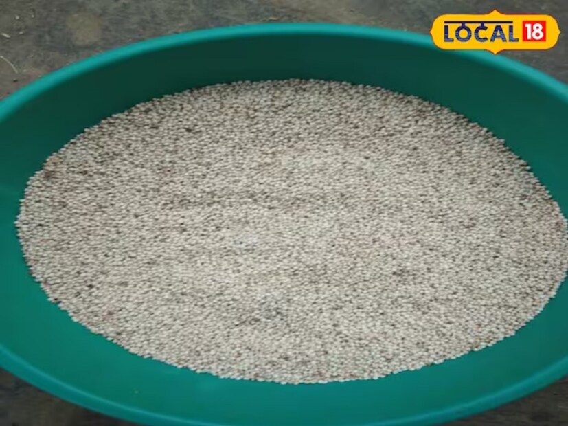 नाचणी प्रत्येक ऋतूमध्ये आरोग्यासाठी फायदेशीर असते, परंतु हिवाळ्यात ती अधिक उपयुक्त ठरते. थंडीत शरीर उबदार ठेवण्यासाठी नाचणी खाण्याचा सल्ला दिला जातो.