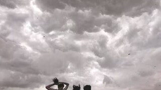 हवामान अपडेट्स 