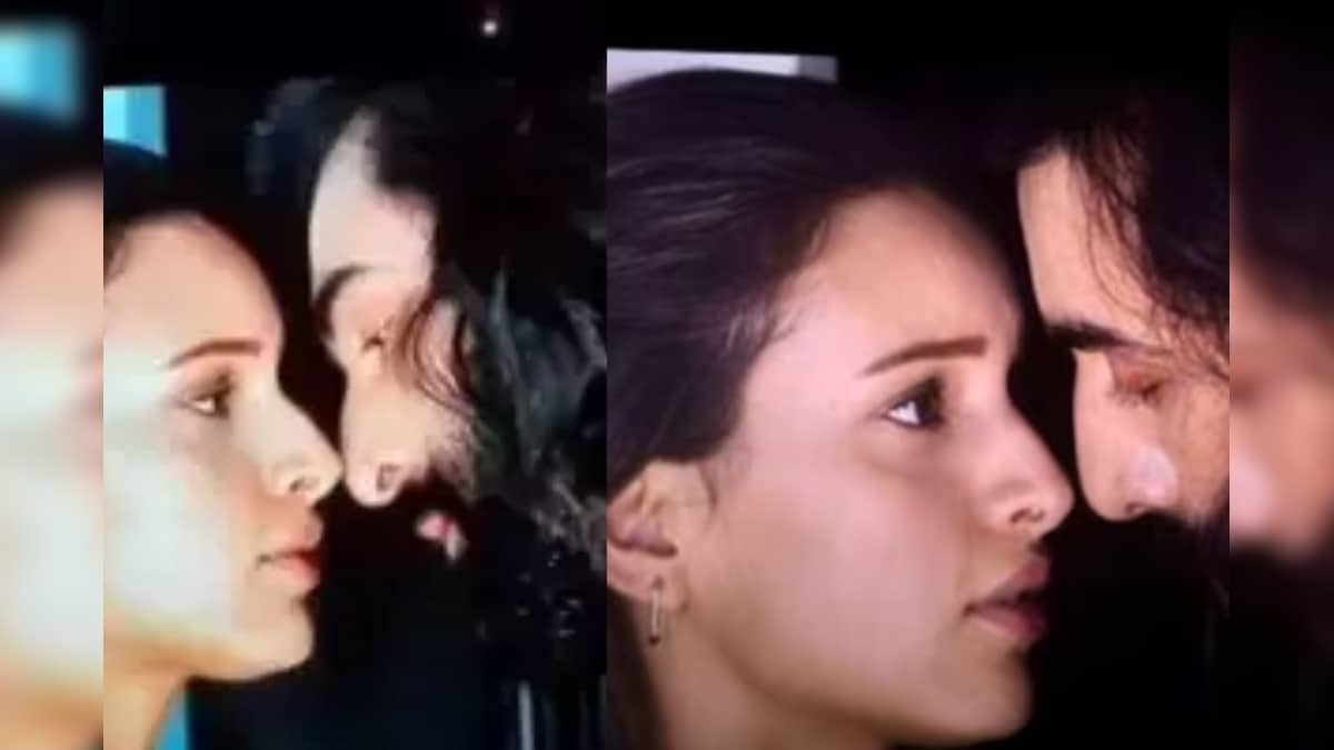 Ranbir Kapoor Tripti Dimri Intimate Scenes रश्मिका नाही तर रणबीर तृप्ती डिमरीची केमिस्ट्री 8758