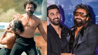 अ‍ॅनिमल