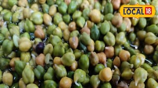 हिरवा हरबरा