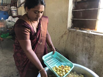 नववी पास गृहिणी कशी झाली उद्योजक? आवळा उद्योगातून महिन्याला 2 लाखांची कमाई