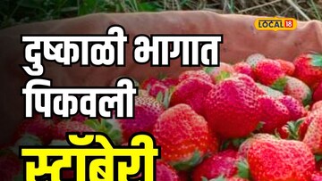 दुष्काळग्रस्त