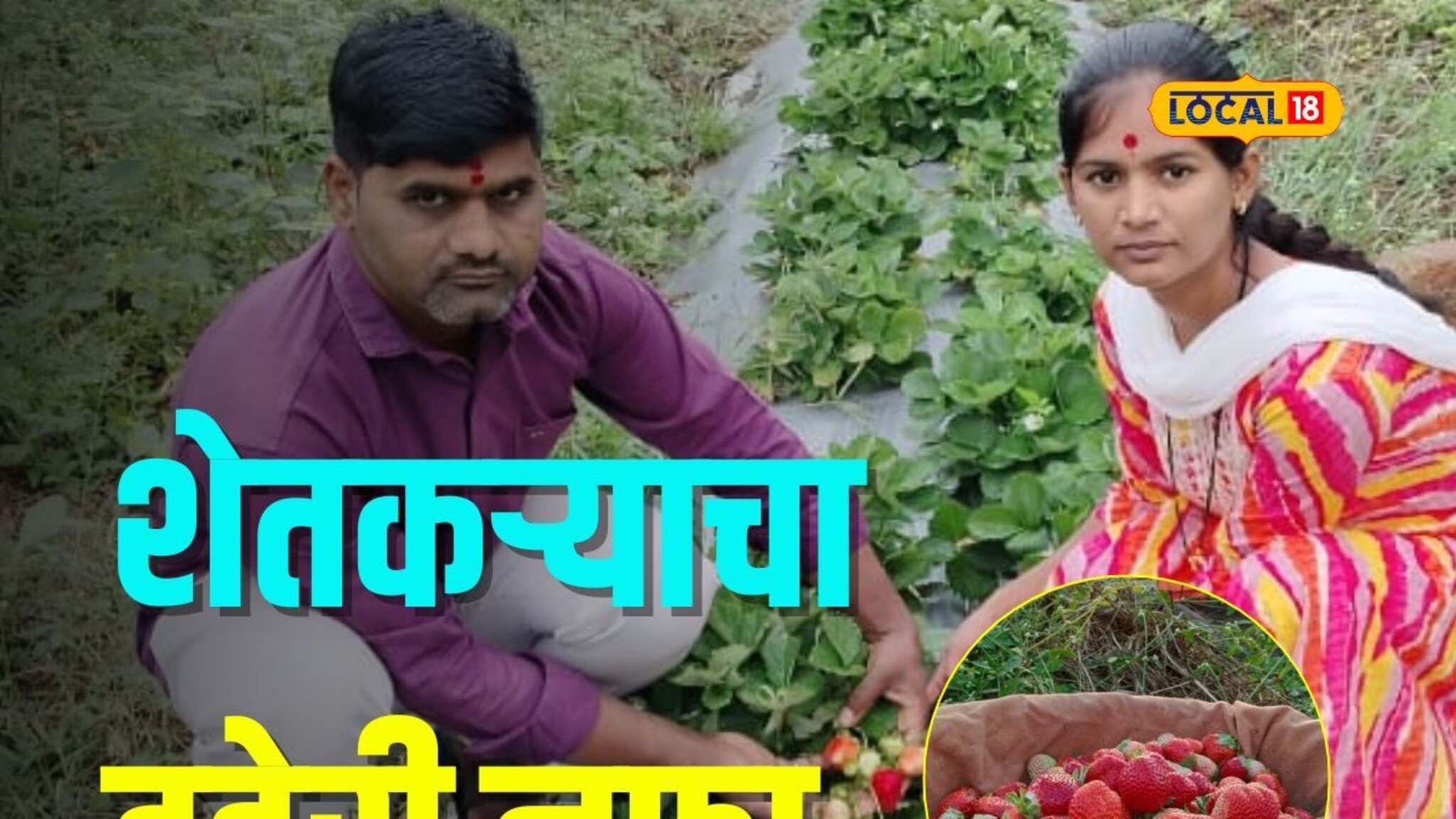 ड्रॅगन फ्रुटच्या शेतीत पिकवली स्ट्रॉबेरी, शेतकऱ्याची लाखोंची कमाई