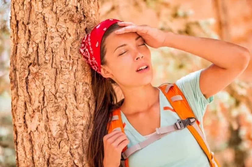 डिहायड्रेशन : आहारात जास्त मीठ खाल्ल्याने डिहायड्रेशनची समस्या जाणवते. त्यामुळे तुम्हाला विविध आजार बळावू शकतात. अशावेळी तुम्ही आहारात मिठाचे प्रमाण मर्यादित ठेवावे आणि पाणी पिण्याचे प्रमाण वाढवावे.