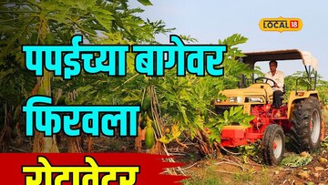 कांद्यानंतर