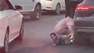 फोटो - सोशल मीडिया व्हायरल फोटो