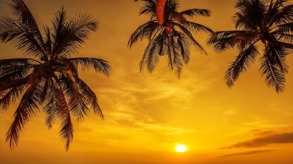 पृथ्वीवरील या 6 ठिकाणी सूर्योदय होत नाही, दिवस-रात्र सूर्य चकाकत राहतो! पृथ्वीवरील या 6 ठिकाणी सूर्योदय होत नाही, दिवस-रात्र सूर्य चकाकत राहतो!