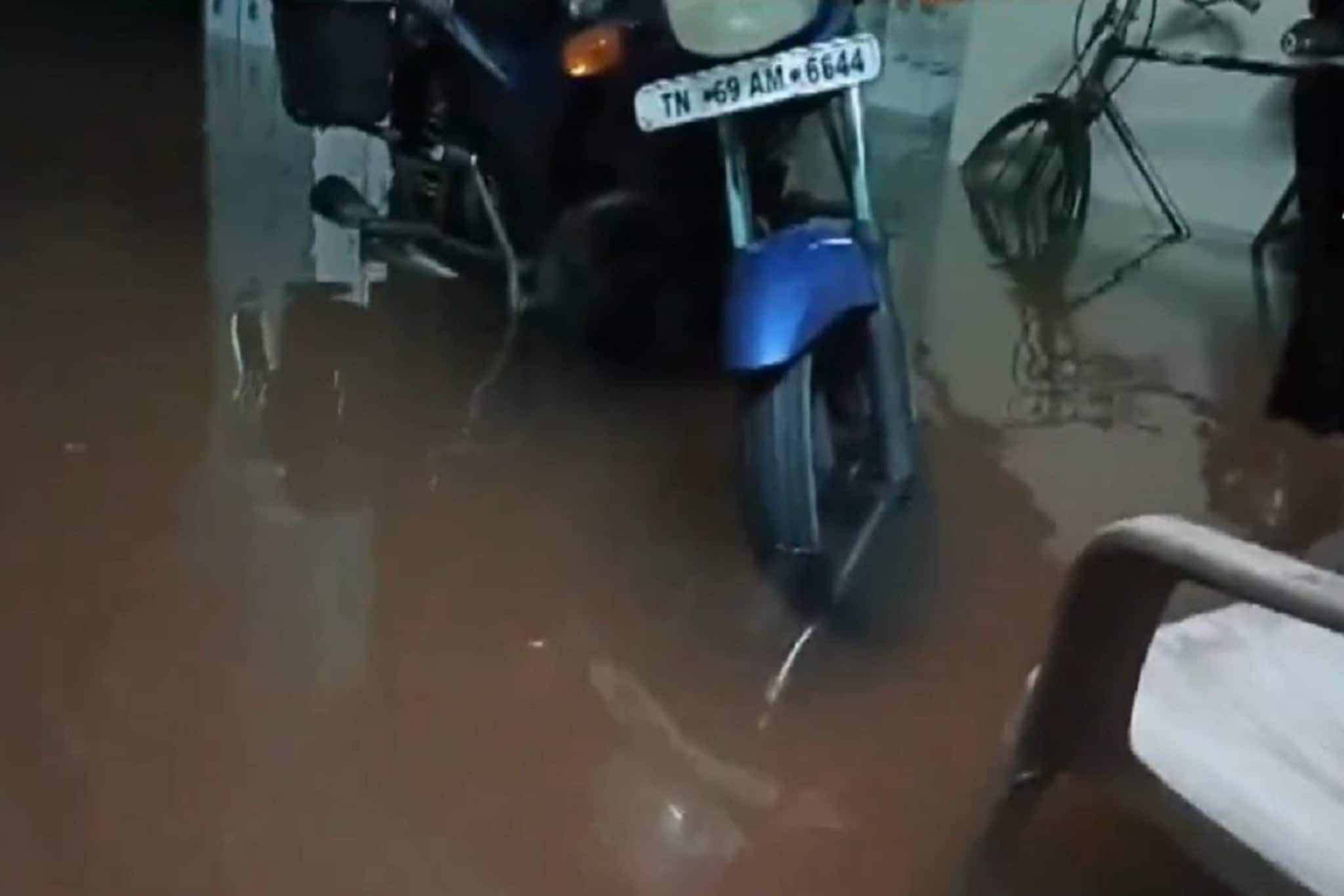 पावसाचा हाहाकार! अनेक भागात साचलं पाणी, तामिळनाडुत शाळा, कॉलेजना सुट्टी जाहीर