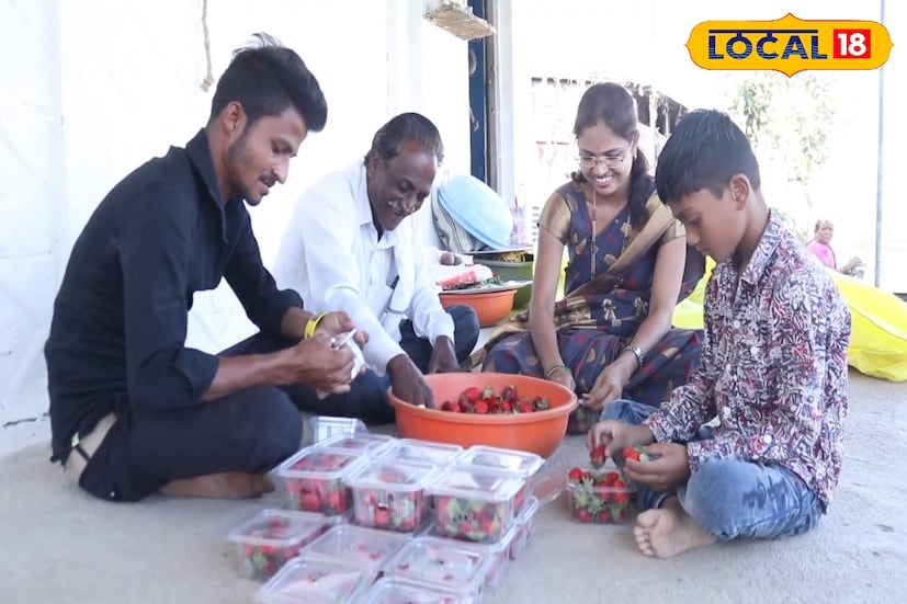 स्ट्रॉबेरीसाठी एकूण अंदाजे 20 लाखांचा खर्च लागला असून सध्या काढणी आणि विक्री सुरू आहे आणि त्यातून 60 ते 65 लाखांचं उत्पादन होऊन त्यातील 40 लाखांचा फायदा होण्याची अपेक्षा पाटील व्यक्त केलीय.