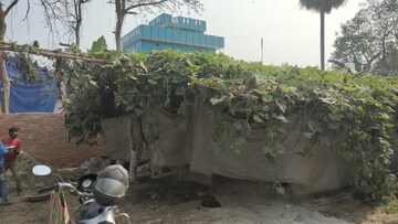 शिक्षणासाठी पैसे नव्हते तर सुरू केलं कुक्कुटपालन, आज तरुण कमावतोय लाखो रुपये शिक्षणासाठी पैसे नव्हते तर सुरू केलं कुक्कुटपालन, आज तरुण कमावतोय लाखो रुपये