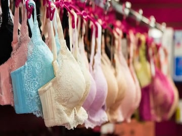 ब्राला मराठीत काय म्हणतात? महिलांनाही माहिती नाही याचा अर्थ आणि फुलफॉर्म ब्राला मराठीत काय म्हणतात? महिलांनाही माहिती नाही याचा अर्थ आणि फुलफॉर्म