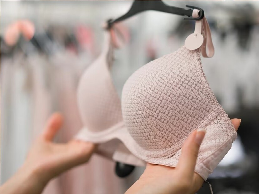 पण याशिवाय मराठीत ब्राला आणखी काय म्हणतात? तुम्हाला ब्रासाठी आणखी काही मराठी शब्द माहिती असेल तर आम्हाला आमच्या सोशल मीडियाच्या कमेंट बॉक्समध्ये नक्की सांगा.