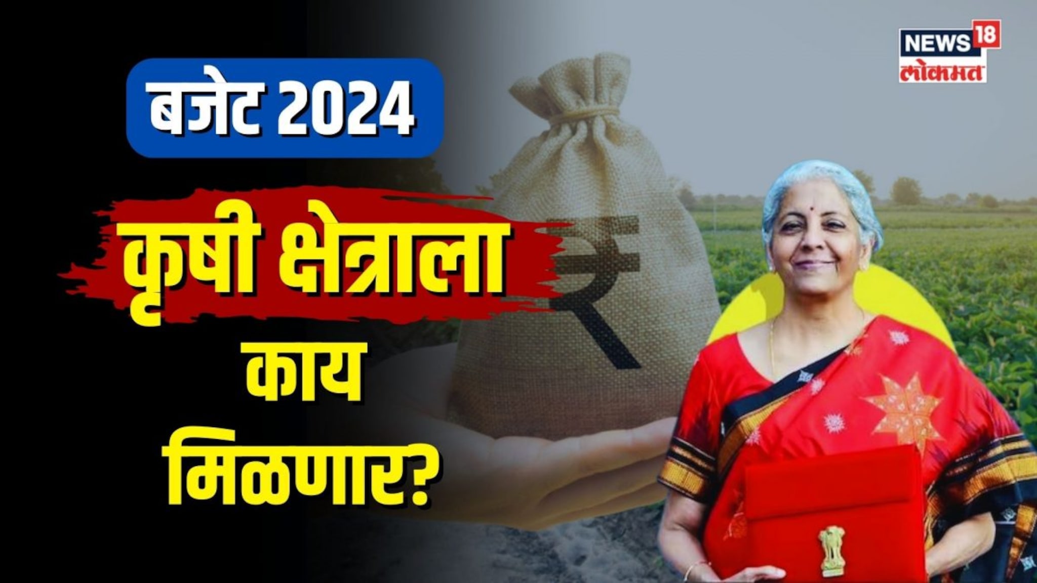 यंदाच्या अर्थसंकल्पात कृषी क्षेत्राला काय मिळणार?
