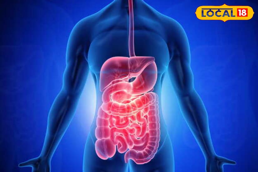 आयुर्वेद पंचकर्मातील एक महत्त्वाचं विशेष असं कर्म म्हणजेच विवेचन कर्म. हे विरेचन म्हणजे या विधीमध्ये काही जुलाब देणारी औषध रुग्णाला देऊन त्याच्या शरीरातील सासलेला दोष जुलाबाद्वारे बाहेर काढण्याच्या विधीला विरेचन असे म्हणतात. ही विरेचन क्रिया अत्यंत फायद्याची अशी आहे. जेव्हा काही व्याधी ही औषधी गुणांनी लवकर बरी होत नाही तेव्हा अशा प्रकारची शुद्धी क्रिया केल्याने त्या व्याधीला लवकरात लवकर आराम मिळवता येऊ शकतो, असं डॉक्टर मयूर कतोरे सांगतात. 