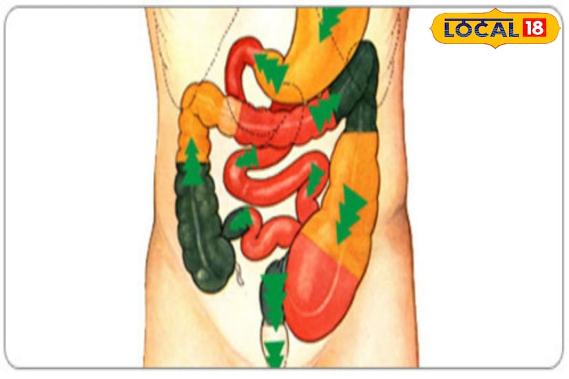 आयुर्वेद शास्त्रात विरेचन महत्त्वपूर्ण क्रियापेकी ही एक क्रिया आहे. या ट्रीटमेंटमध्ये रुग्णाला प्रथमतः काही सिद्ध औषधीयुक्त तूप वैद्यमंडळी पिण्यास देतात. सोबतच त्या रुग्णाला मालिश आणि औषधी वनस्पती युक्त स्टीम दिले जाते. या कर्माला पूर्वकर्म असे म्हणतात. या पूर्वकर्मामुळे शरीर भर साचलेला पित्तदोष हा पोटामध्ये आणल्याची क्रिया पार पाडली जाते. 