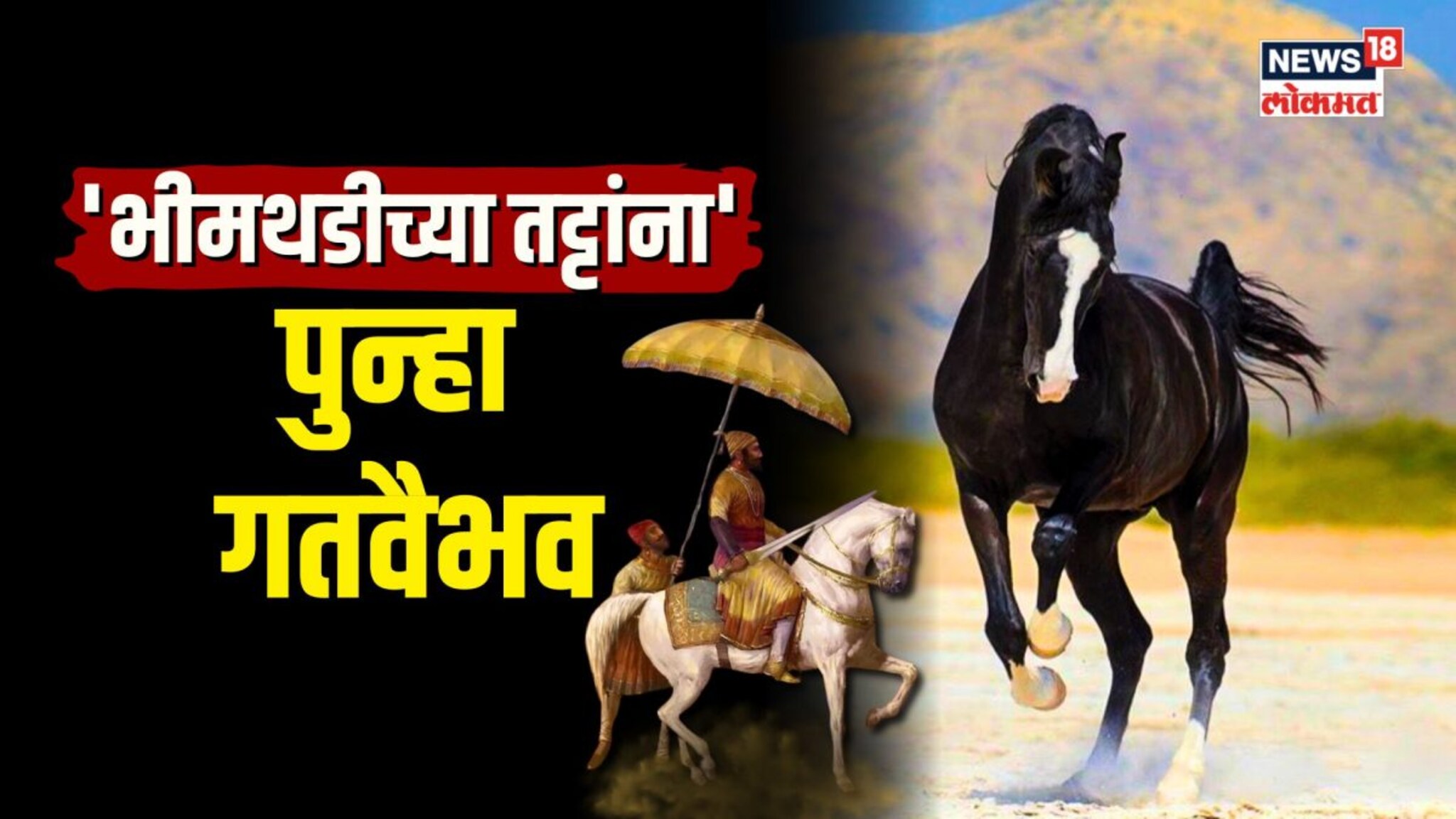 भीमथडी अश्वांना मिळणार गतवैभव, काय आहे या घोड्यांची खासियत?