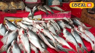 माश्यांमध्ये विविध जीवनसत्त्व असतात.