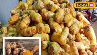 हिवाळ्यात या पदार्थाचं सेवन करण्याचा सल्ला दिला जातो. हिवाळ्यात या पदार्थाचं सेवन करण्याचा सल्ला दिला जातो.