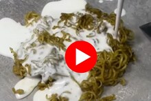 अरे, यांना कुणी आवरा! तयार केली 'आईस्क्रीम रोल मॅगी' VIDEO पाहून होईल उलटी!