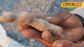 शरिरातील गाठींवरसुद्धा ती रामबाण असते. शरिरातील गाठींवरसुद्धा ती रामबाण असते.