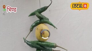 संग्रहित फोटो संग्रहित फोटो