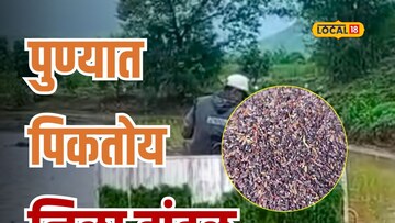 पुण्यातील