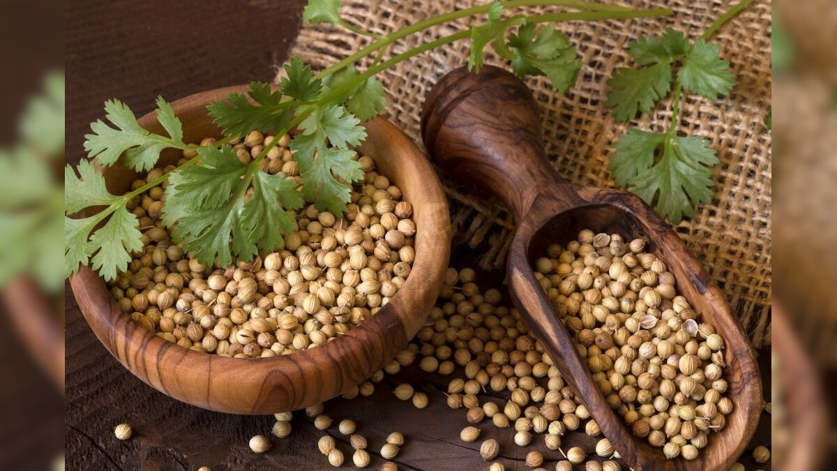 Coriander Benefits या 5 आजारांचा कर्दन काळ आहेत धने! अशापद्धतीने