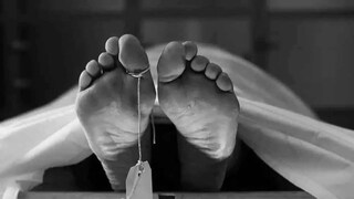 (प्रतिकात्मक फोटो)