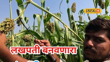 दुष्काळी