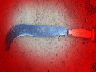 प्रतीकात्मक फोटो प्रतीकात्मक फोटो