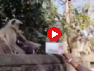 प्रतिकात्मक फोटो