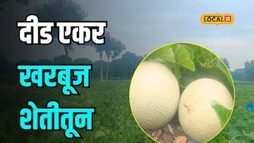 मराठवाड्यातील