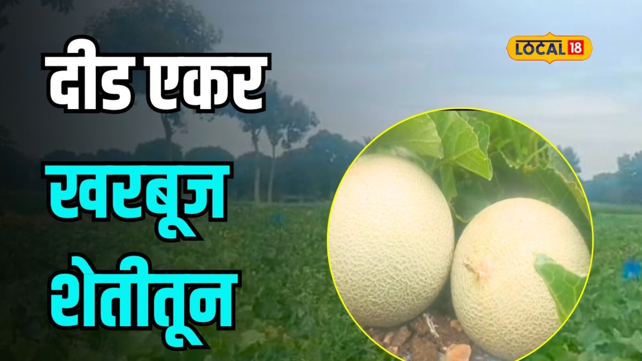 मराठवाड्यातील खरबूज निघालं केनियाला, मिळाला उच्चांकी दर, Video