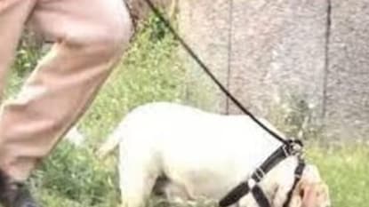 संग्रहित छायाचित्र संग्रहित छायाचित्र