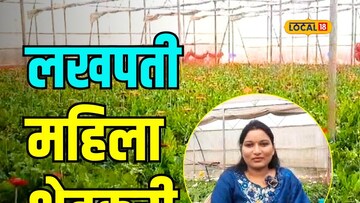 उच्चशिक्षित