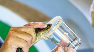 प्रतिकात्मक फोटो