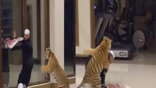 फोटो - इन्स्टाग्राम व्हिडीओ ग्रॅब फोटो - इन्स्टाग्राम व्हिडीओ ग्रॅब