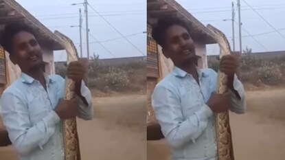 व्हायरल व्हिडीओ व्हायरल व्हिडीओ