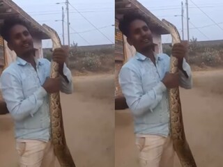 व्हायरल व्हिडीओ