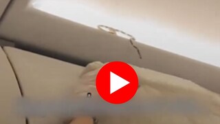 विमानात निघाला साप, प्रवाशांचा उडाला थरकाप विमानात निघाला साप, प्रवाशांचा उडाला थरकाप