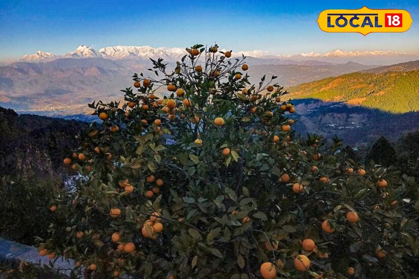 उत्तराखंड नैसर्गिकदृष्ट्या प्रचंड सुंदर आहे. इथल्या अल्मोडापासून जवळपास 53 किलोमीटर अंतरावर कौसानी ठिकाण आहे. या ठिकाणाला इतकं सुरेख सौंदर्य लाभलंय की, ते स्वित्झर्लंड म्हणूनही ओळखलं जातं. हे ठिकाण पाहायला देश-विदेशातून पर्यटक येतात. इथे आपलं हनिमून निश्चितच अविस्मरणीय ठरेल. उत्तराखंड नैसर्गिकदृष्ट्या प्रचंड सुंदर आहे. इथल्या अल्मोडापासून जवळपास 53 किलोमीटर अंतरावर कौसानी ठिकाण आहे. या ठिकाणाला इतकं सुरेख सौंदर्य लाभलंय की, ते स्वित्झर्लंड म्हणूनही ओळखलं जातं. हे ठिकाण पाहायला देश-विदेशातून पर्यटक येतात. इथे आपलं हनिमून निश्चितच अविस्मरणीय ठरेल.